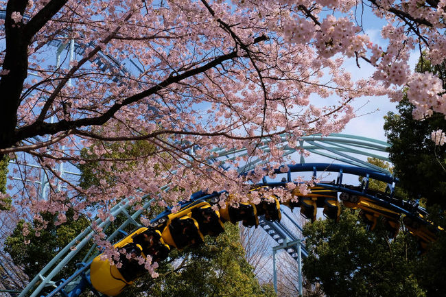 それでも　この　早さ