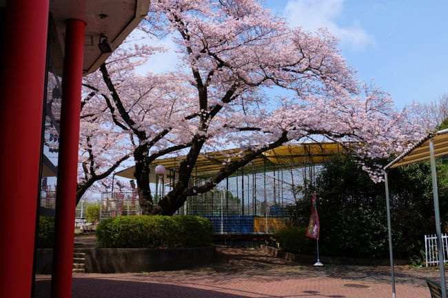 バーベキュウの設備の先の<br /><br />　運動場あたりへ