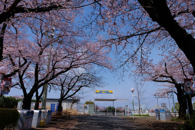 その昔　業界の青年部の運動会をした<br /><br />　　　グランド、、