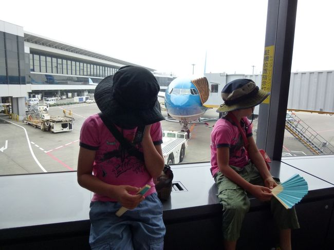 【１日目】<br />いつもの様に日が明ける前に自宅を出発し、<br />徒歩・電車で成田に到着。<br /><br />ベトナム航空３１１便　成田１０時発で出発の予定だったが、現地の台風の影響で、１時間のDelay。<br />待ちくたびれてテンションが下がっている子供たち。<br /> <br />予定通り遅延は１時間ですんで、晴れて機内の人になったが、<br />飛行機の設備に絶句する子供たち。<br />ＪＬとコードシェア便って、ＪＬに合わせるんじゃないんだね。<br />ＪＬの航空券を買っている人からすると、かなり残念な感じの機種。<br />パーソナルモニターを期待していた子供たちはがっかり。<br /> <br />フライトは台風の影響なのか、途中かなり揺れた。<br />・・・・・・・・で、初めての海外旅行が初めての飛行の体験だった、<br />大分前の記憶が蘇った。<br />その時もものすごく揺れて、<br />そう、それ以来の飛行機酔い。。<br />あれからもう何十回と飛行機に乗って、その後全く酔った事はなかったのに、どうしたんだ自分。<br /> 