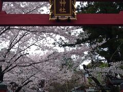 博物館の前にある氷室神社。いつも桜の季節に立ち寄ります。