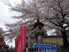 南円堂の桜も満開。