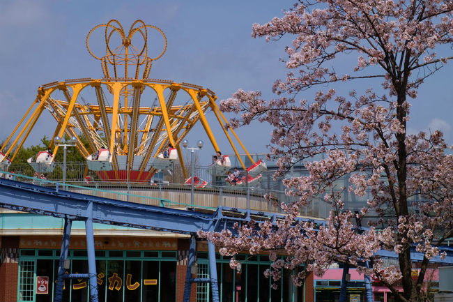 トロイカと言う　遊具も人気のようです。