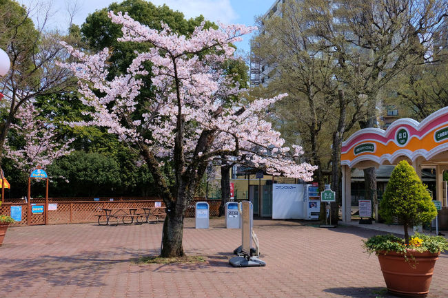 また　紫陽花の咲く頃にでも伺いましょう。
