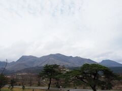 岡城址を後にして、「九州のナイアガラ」と言われている原尻の滝に行こうとしたのですが、ちょうどチューリップ祭みたいなのが開催されていて、だいぶ離れた臨時駐車場からシャトルバスで行かなければダメということだったので、やめました。
原尻の滝は是非見てみたいので、また次の機会に。

くじゅう花公園に行ってみます。