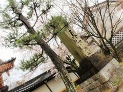 続いて、金戒光明寺のお隣、真如堂へ♪
こちらも、決して桜の寺院では無いけれど。。。