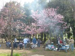 東京葛飾　水元公園　3月25日

ソメイヨシノが開花宣言されたが、早咲きの彼岸桜などで早くも花見。