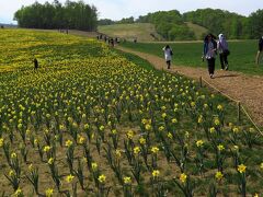 【５月３日】

この日は妹家族と一緒に蔵王方面へ。
えぼしスキー場ではすいせん祭りが開催されていました。