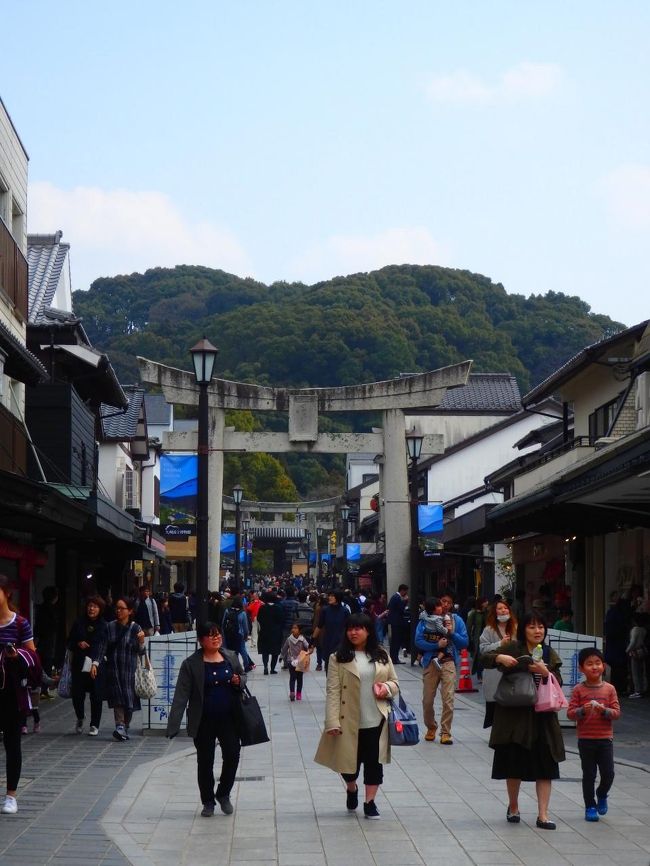 参道を歩きます。