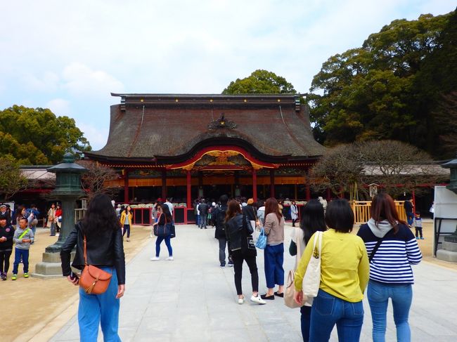 さぁお参りです。<br /><br />太宰府天満宮の御朱印帳を買いました！！