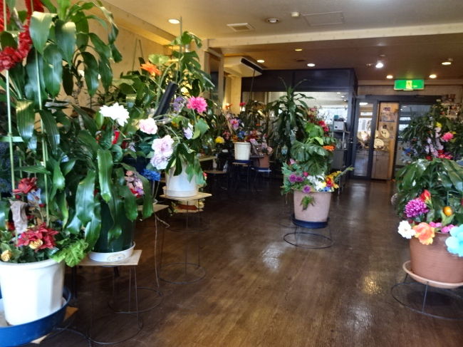 店内グリーンとお花が一杯