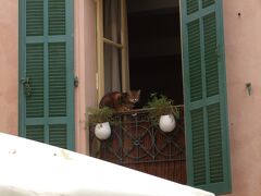 おや、また(=^x^=)♪

観光地としてだけでなく、ここで生活する人がいる街なのがよくわかります。
【FP】