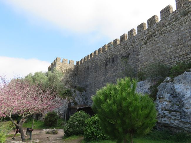 城壁の外側に出て