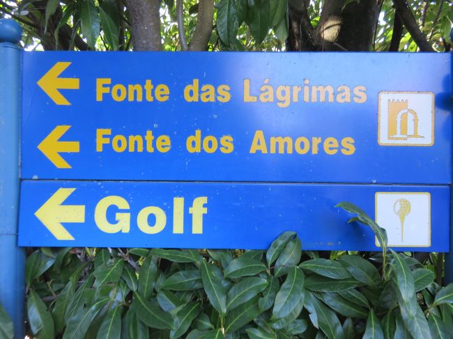 涙の泉と恋人たちの泉が裏庭にある<br />宿泊者用の入場券で入る