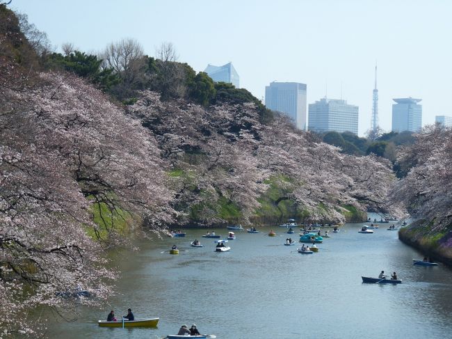 皇居のサクラ 九段下から大手町まで 17 綺麗なサクラと沢山の人に圧倒されました 東京都 千代田区 丸の内 大手町 八重洲 東京 の旅行記 ブログ By Minamicazeさん フォートラベル 皇居のサクラ 九段下から大手町まで 17 綺麗なサクラと沢山の人に圧倒されました 東京都 千代田区 丸の内 大手町 八重洲 東京 の旅行記 ブログ By Minamicazeさん フォートラベル