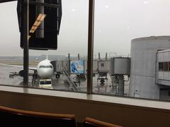丘マイラーとして必死に貯めたＪＡＬのマイルで、羽田空港から長崎空港に向かいます。