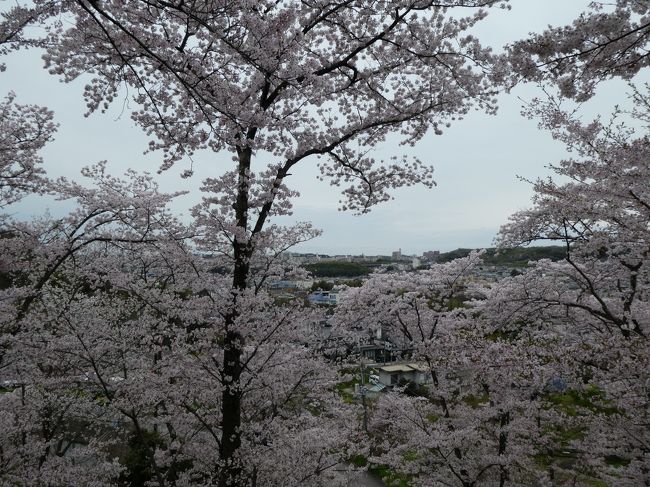 山を登るのでいい運動になります（公園なので道は整備されてますよ）