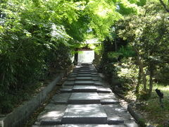 せっかく祇園に泊まったので、朝、高台寺へ散歩。
