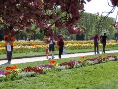 食後は散歩も兼ねてすぐお隣にあるパリの植物園へ。
