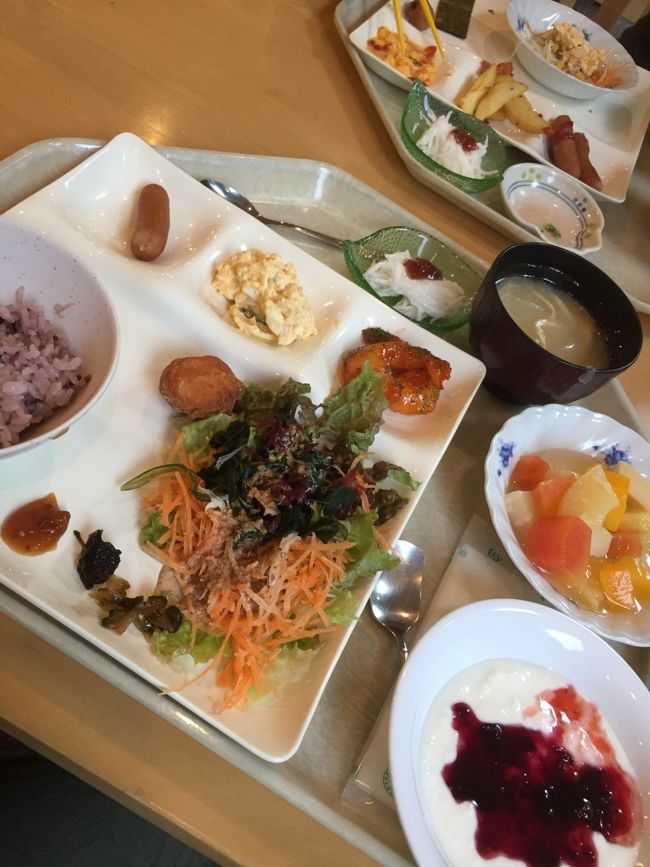 星空を楽しみにしていましたが 曇り空で見れませんでした。このホテルに星空をみる屋上テラスがあったのに 残念です。<br />この時期は ホタルも飛び出す頃らしく ホタルツアーもあるようです。ツアーに申し込まずに フラッと行ったら見れるかなぁなんて 思ってましたが周りに何も無いので 夜になると  真っ暗・・・。<br /> 西表島では レンタカーもあるようですが 何日か滞在するなら 必要だと思います。<br /> あとは ピックアップしやすい 場所のホテルを選ぶことです。ですが アクティビティツアーを検索すると 結構 上原湾寄りが多かったように思います。路線バスも走ってるので 時間があるなら バスの利用も ありですね。<br /> パイヌマヤホテルでの 朝食です。<br />定番のものでしたが バイキングだったので 良かったです。<br />帰りきわに 見つけたのですが 別棟にコインランドリーがありますが そこには 漫画本や DVDなど 時間潰しになるのが 置いてあったのです。昨日の夜 暇過ぎた時に 見つけたかったぁ。<br /> ゆっくりと静かなホテルでした。<br /> 