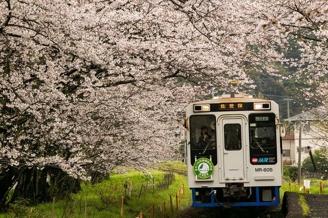 浦ノ崎駅のベンチで花見する 伊万里 佐賀県 の旅行記 ブログ By くわさん フォートラベル 浦ノ崎駅のベンチで花見する 伊万里 佐賀県 の旅行記 ブログ By くわさん フォートラベル