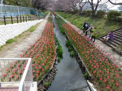 「東方町」でバスを降り、「⑩江川せせらぎ緑道」に入りました。