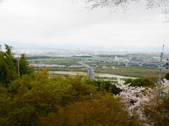 背割提が見えます。中央から左手側にある桜です。

中央の橋が御幸橋です。手前の川が木津川で、宇治川、桂川と続きます。
そして背割提の先で三川が合流して、淀川となって大阪湾に流れ込みます。