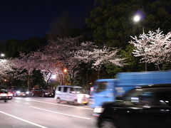 靖国通りの桜も綺麗だなぁ～(*´-`)♪って！？油売ってる場合じゃない(；´Д`A早く目的のボート乗り場へ行かねば！って！？千鳥ヶ淵緑道入口は凄い人の行列。どうしよう(；´Д`A