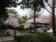 葛原岡神社

前日の雨で、足元がぬかるんでいて、滑らないように気を付けながら、
浄智寺から25分ほど掛けて山道を登りました。