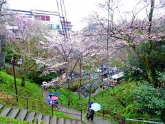 吉野駅から15分ほど走って中千本のバス停に到着，ここから，雨の中トボトボ登って，今度は奥千本行きのバスに乗ります

それにしてもテンション降下ぎみ…