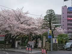 「ＪＲ蒲田駅」から「京急蒲田駅」の間にある神社。
通りかかると、見事な桜を発見！！！！
