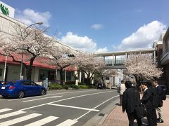 キャンパスのあるたまプラーザ駅は最寄駅です。
散り初めの桜がまだ美しい。
駅までは車で来て、東急百貨店の地下駐車場に停めてあります。帰りにデパ地下で買い物すれば、無料駐車できます。