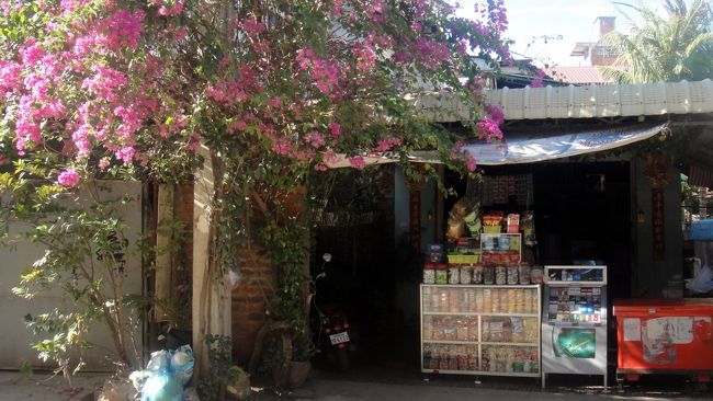 こちらはブーゲンビリアの大木の下のお菓子屋さん。南国らしくいい感じです。