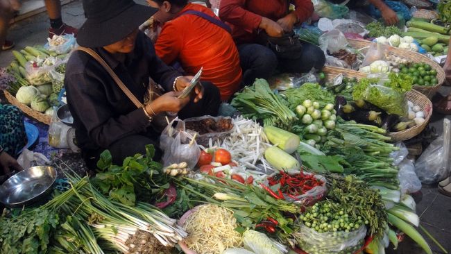 野菜は新鮮で種類も豊富。