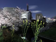 牛ヶ淵で菜の花と一緒に(^-^)