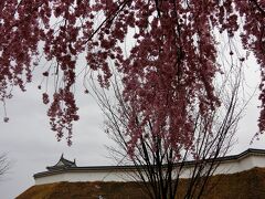 宇都宮城址。濃いピンク色のしだれ桜がキレイだった。
日曜日だったのでマラソン大会をやっていて、中には入れなそうだったので外側だけ散歩。