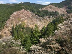 義経千本桜の舞台でもあり一目千本ともいわれる吉水神社からの眺め。