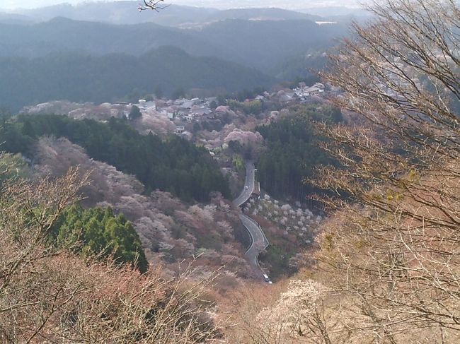 花矢倉展望台から