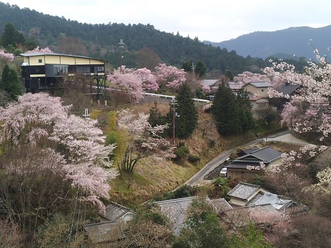 御幸の芝展望台から