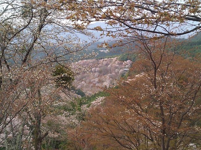 御幸の芝展望台から