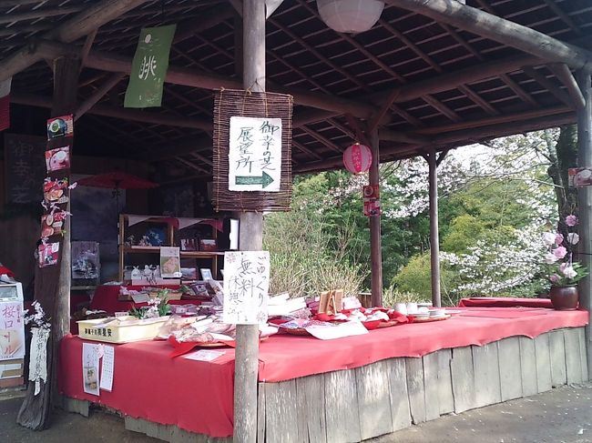 御幸の芝展望台　上千本～中千本バス停の途中