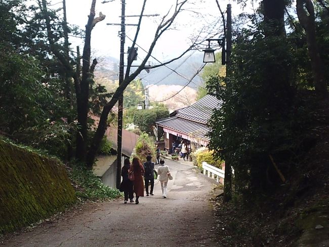 上千本～中千本バス停の途中