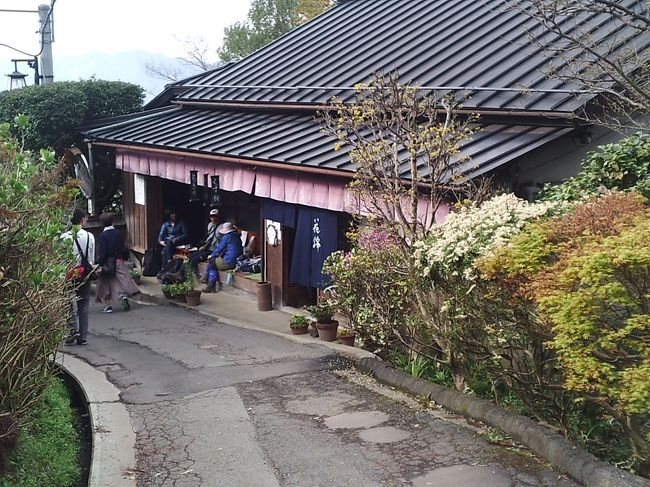 上千本～中千本バス停の途中