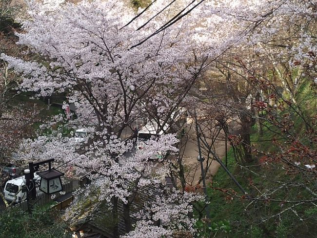 中千本バス停<br /><br />吉野駅～中千本バス停までは、360円。「奥千本口」へのバスは、この写真を撮っているところまで登ってこないといけません。<br />