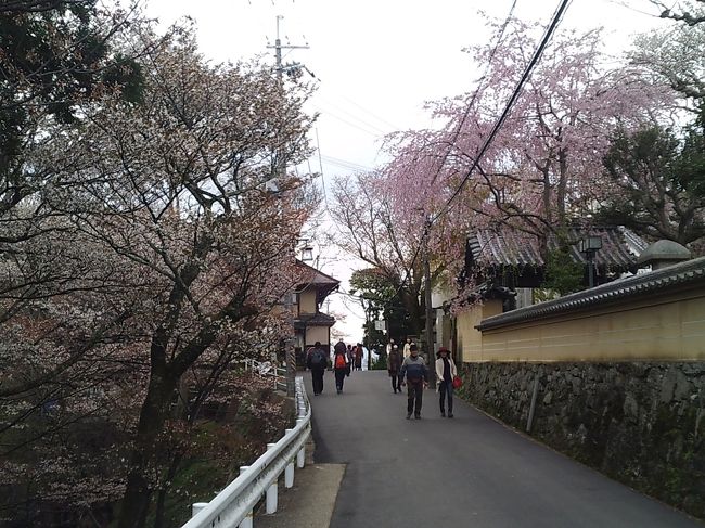 中千本バス停～ロープウェイ吉野山駅への途中