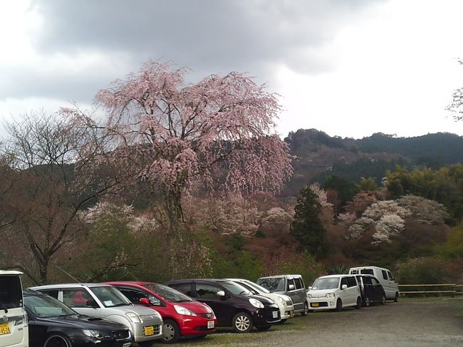 中千本バス停～ロープウェイ吉野山駅への途中