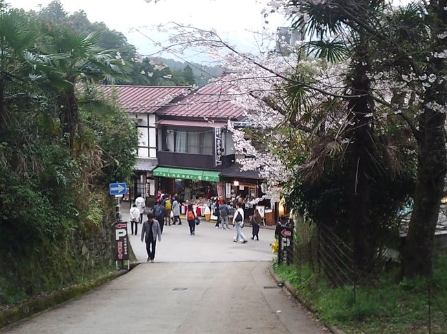 中千本バス停～ロープウェイ吉野山駅への途中