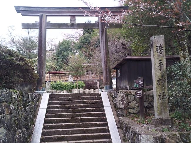 勝手神社 鳥居<br /><br />