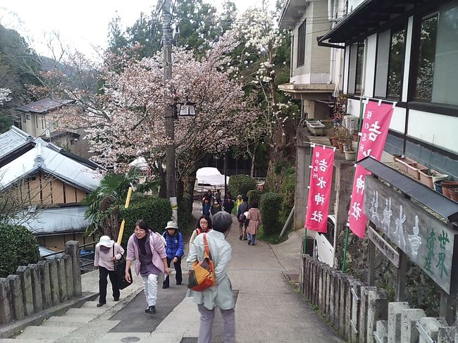 吉水神社　参道
