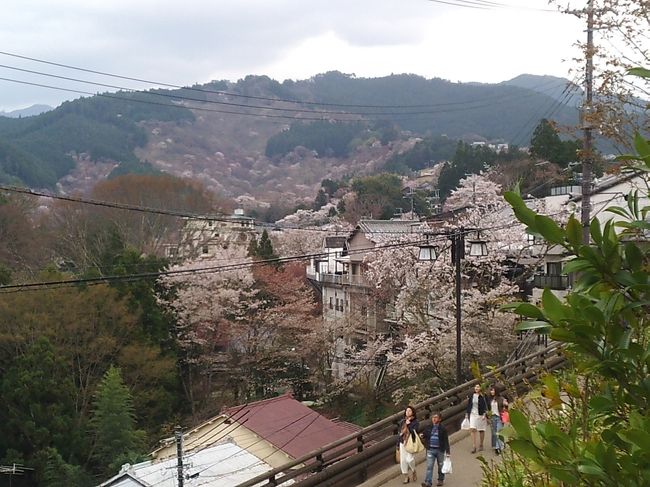 金峯山寺　蔵王堂から